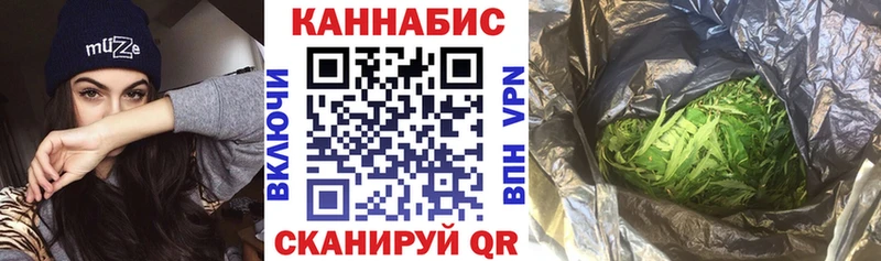 Шишки марихуана сатива  Каргат 